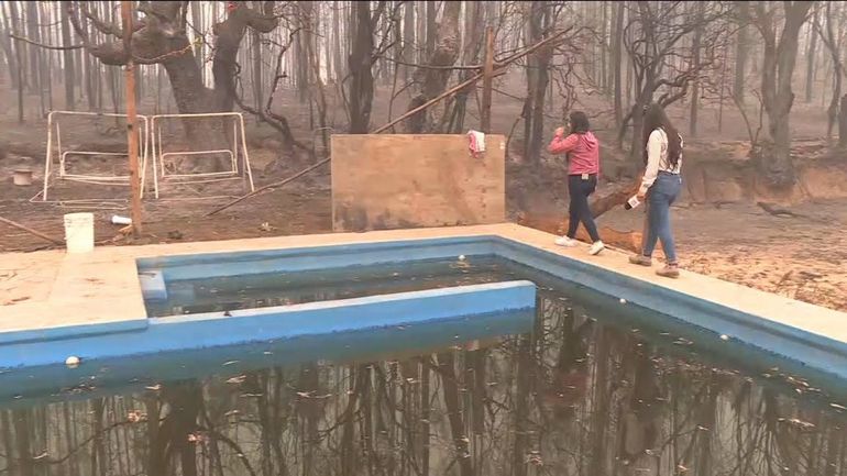 Dramático video de una familia chilena que se metió en una pileta para huir del fuego