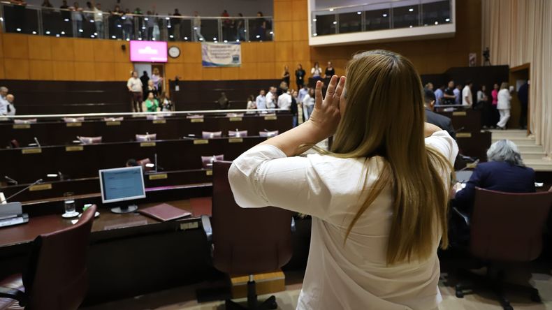 Gloria Ruiz cerró a los gritos con sus simpatizantes en la Legislatura / Foto