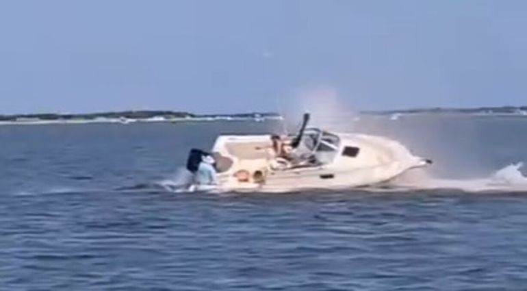 El cadáver de la ballena quedó varado sobre un banco de arena en aguas poco profundas. 