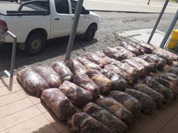 La mercadería fue decomisada y destruida dado que provenía de una faena clandestina. La mercadería fue decomisada y destruida dado que provenía de una faena clandestina.