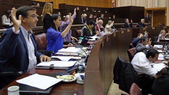 El debate en el recinto dividió aguas, pero el MPN logró imponer la mayoría.
