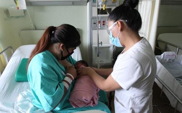 Covid-19: aseguran que la leche materna transfiere anticuerpos