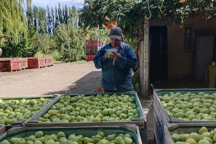 Madre y trabajadora: Yanina equilibra la crianza de sus hijos con la gestión rural. Madre y trabajadora: Yanina equilibra la crianza de sus hijos con la gestión rural.