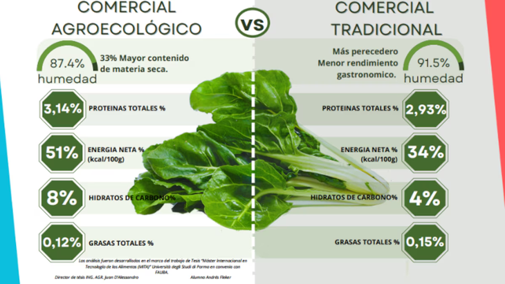 Los resultados mostraron que la acelga agroecológica contenía: 7% más de proteínas, 100% más de hidratos de carbono, 33% más de materia seca y 50% más de calorías por gramo en comparación con la acelga convencional (SLT- FAUBA) Los resultados mostraron que la acelga agroecológica contenía: 7% más de proteínas, 100% más de hidratos de carbono, 33% más de materia seca y 50% más de calorías por gramo en comparación con la acelga convencional (SLT- FAUBA)