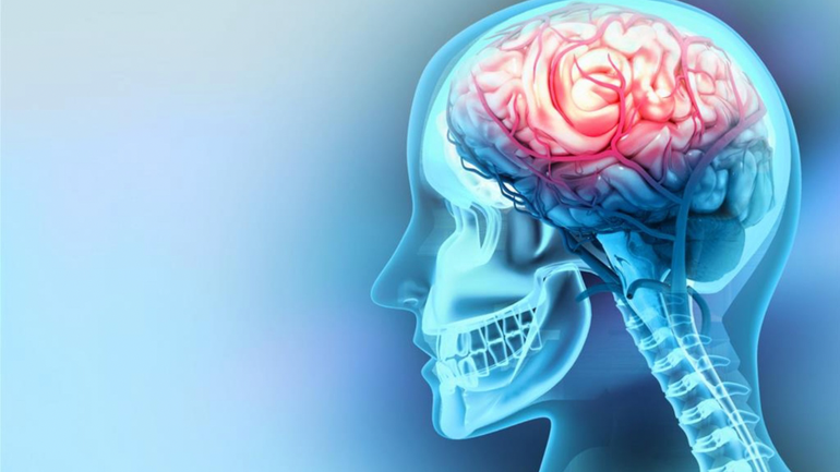 Esta es la edad a la que tu cerebro empieza a envejecer, según la ciencia Esta es la edad a la que tu cerebro empieza a envejecer, según la ciencia