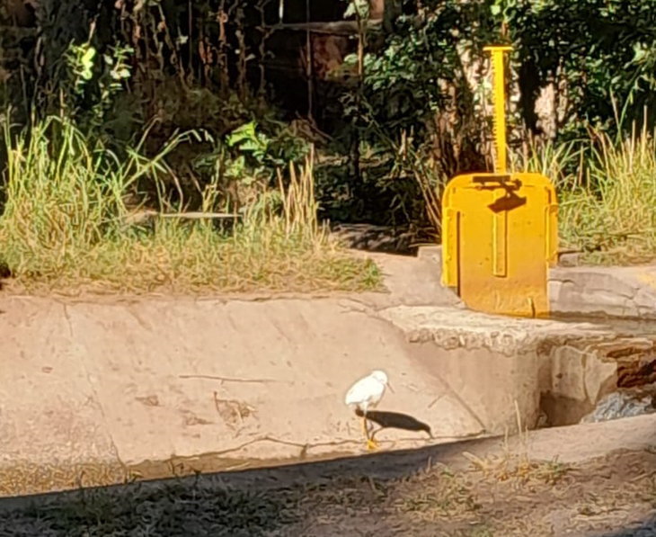 Gracias a las recorridas, se pudo rescatar material histórico de Mariano Moreno, Limay y Centenario. Foto: gentileza. Gracias a las recorridas, se pudo rescatar material histórico de Mariano Moreno, Limay y Centenario. Foto: gentileza.