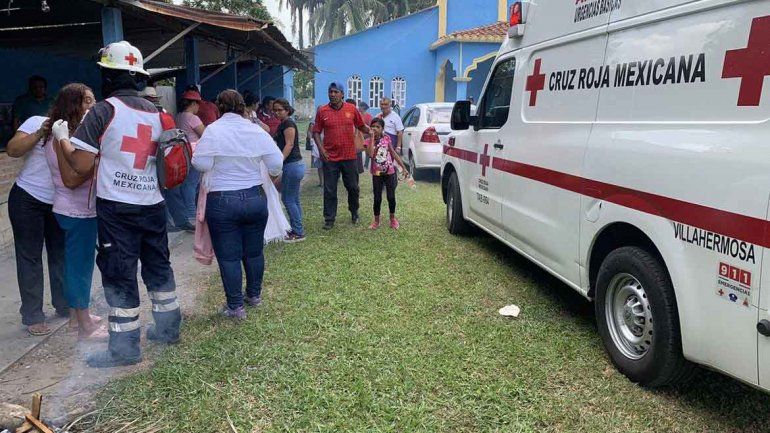 Suspendieron un viacrucis por el ataque de un enjambre de abejas