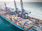 Tensiones en el mercado or la demanda de ocntenedores en el inicio de la temporada frutícola del Hemisferio Sur.