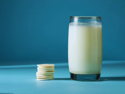 Chips de mozzarella liofilizados: 20 g equivalen a un vaso de leche en nutrientes esenciales. Foto: INTA Chips de mozzarella liofilizados: 20 g equivalen a un vaso de leche en nutrientes esenciales. Foto: INTA