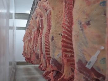 Los últimos relevamientos muestran que el asado volvió a encarecerse, mientras otros cortes siguen muy por encima del promedio inflacionario.