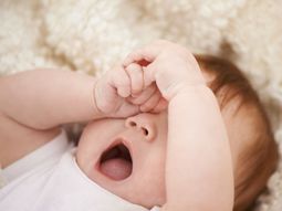 cuales son los dos nombres gitanos que son furor en argentina cuales son los dos nombres gitanos que son furor en argentina